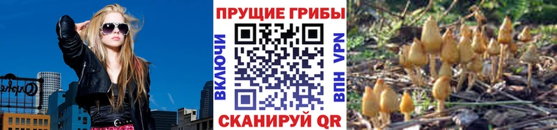 гидра рабочий сайт наркотики Новокузнецк Псилоцибиновые грибы MAGIC MUSHROOMS